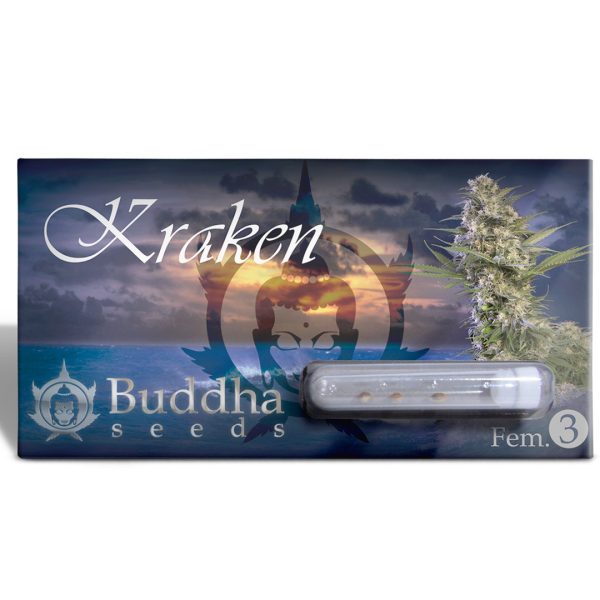 Kraken Buddha Seeds planta fotodependiente blister