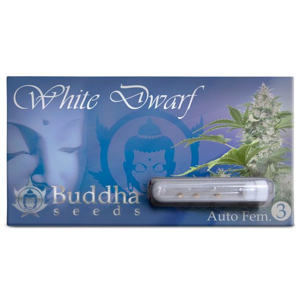 White Dwarf Auto