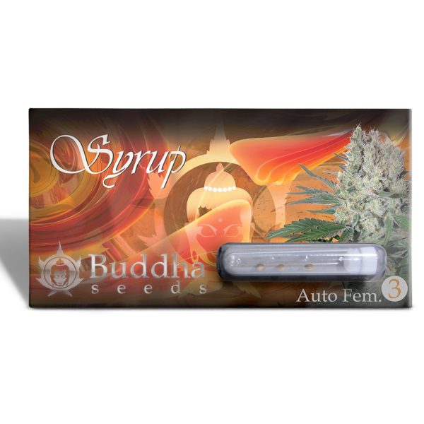 Buddha Sirup Auto