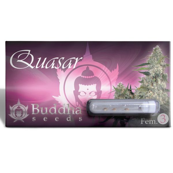 Buddha Quasar