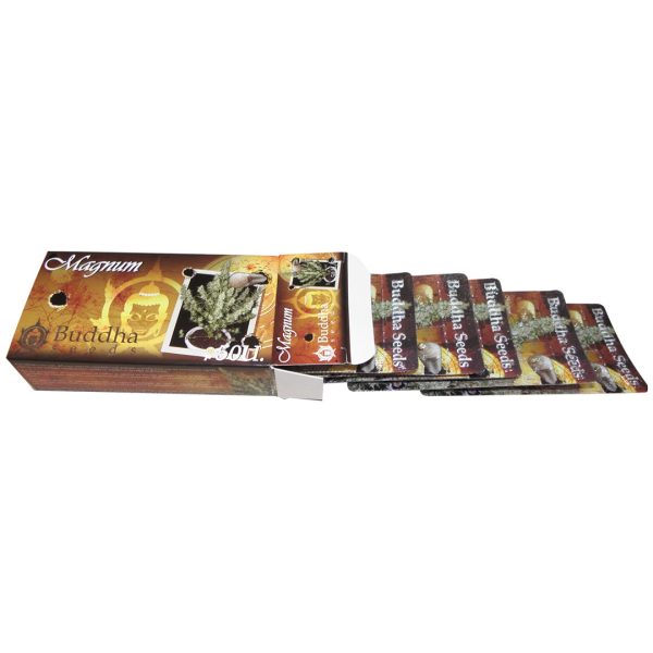 Magnum Auto Buddha Seeds semillas cannabis autofloreciente sativa