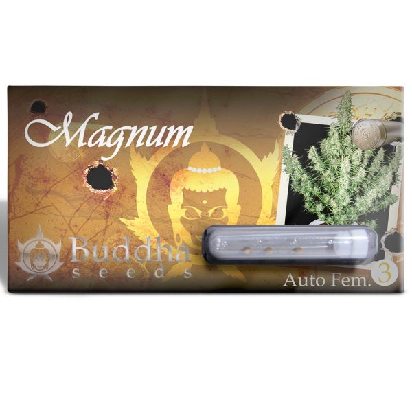 Magnum Auto Buddha Seeds semillas cannabis autofloreciente sativa productiva