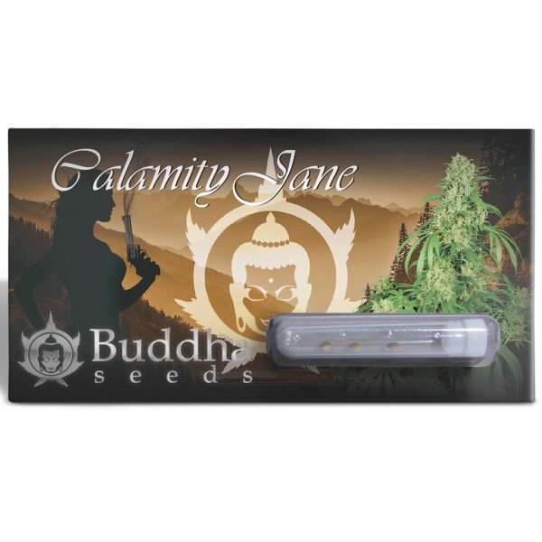 Buddha Calamity Jane Auto