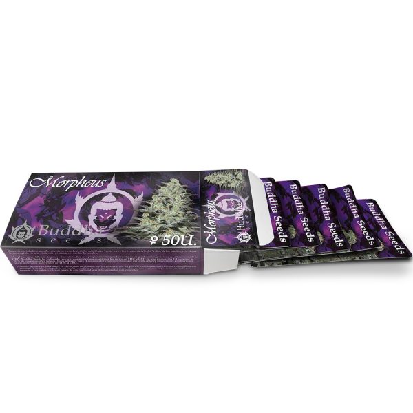 Morpheus Buddha Seeds pack semillas fotodependiente CBD