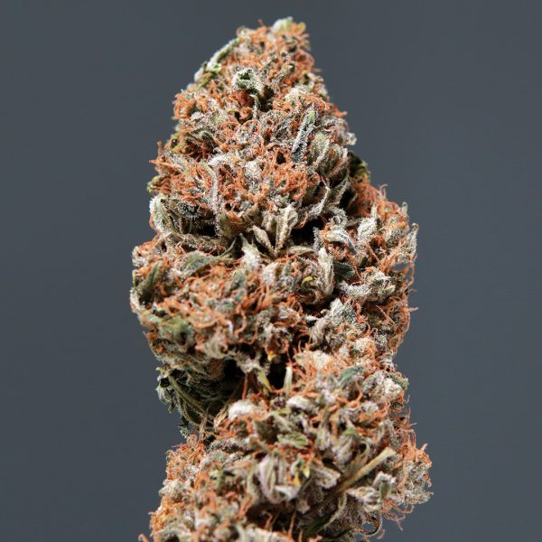 Medikit Auto Buddha Seeds flower CBD