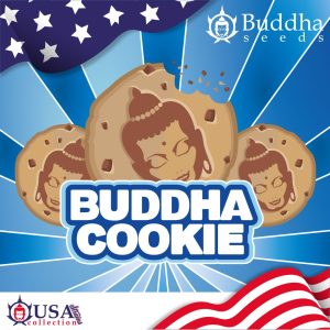 Biscuits Buddha