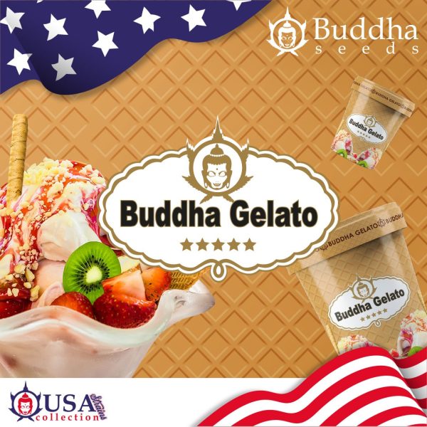 Buddha Gelato