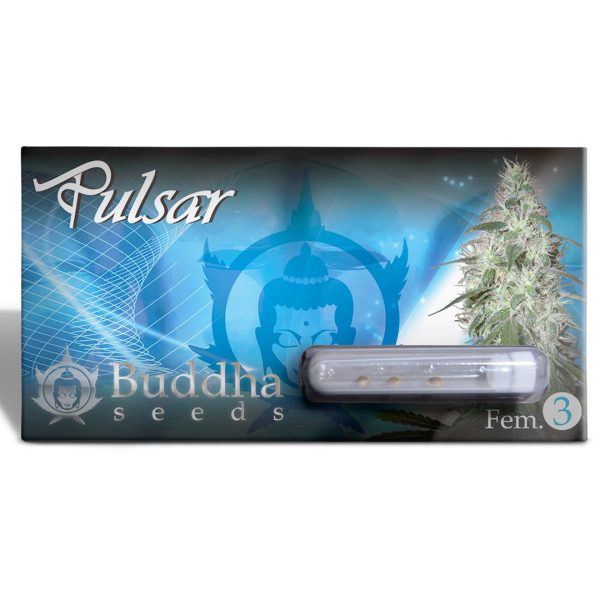 Pulsar Buddha Seeds sativa blister oficial