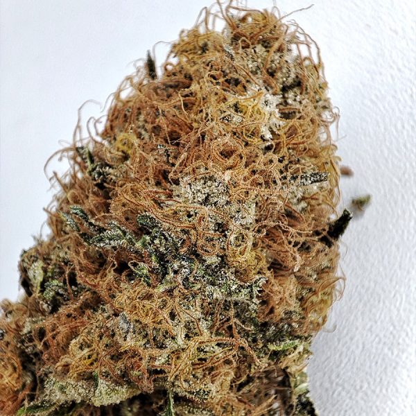 Buddha Wedding Cheesecake Buddha Seeds semillas cannabis americanas resina alto THC