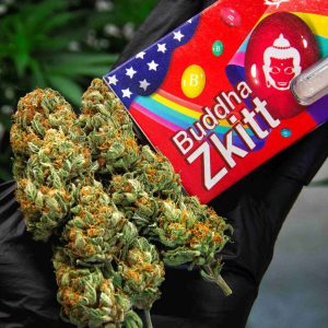 Zkittlez Buddha Seeds autofloreciente americana marihuana de sabor dulce