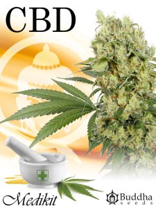 mejores semillas de CBD Medikit buddha seeds