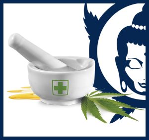 Medikit Buddha Seeds cannabis medicinal best CBD seeds high CBD cannabis seeds