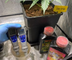 como medir EC cannabis