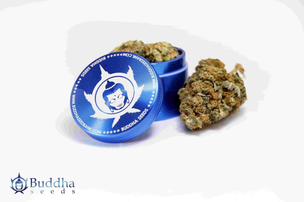 grinder_marihuana