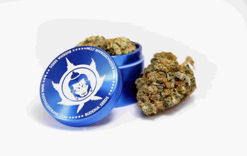 grinder_marihuana