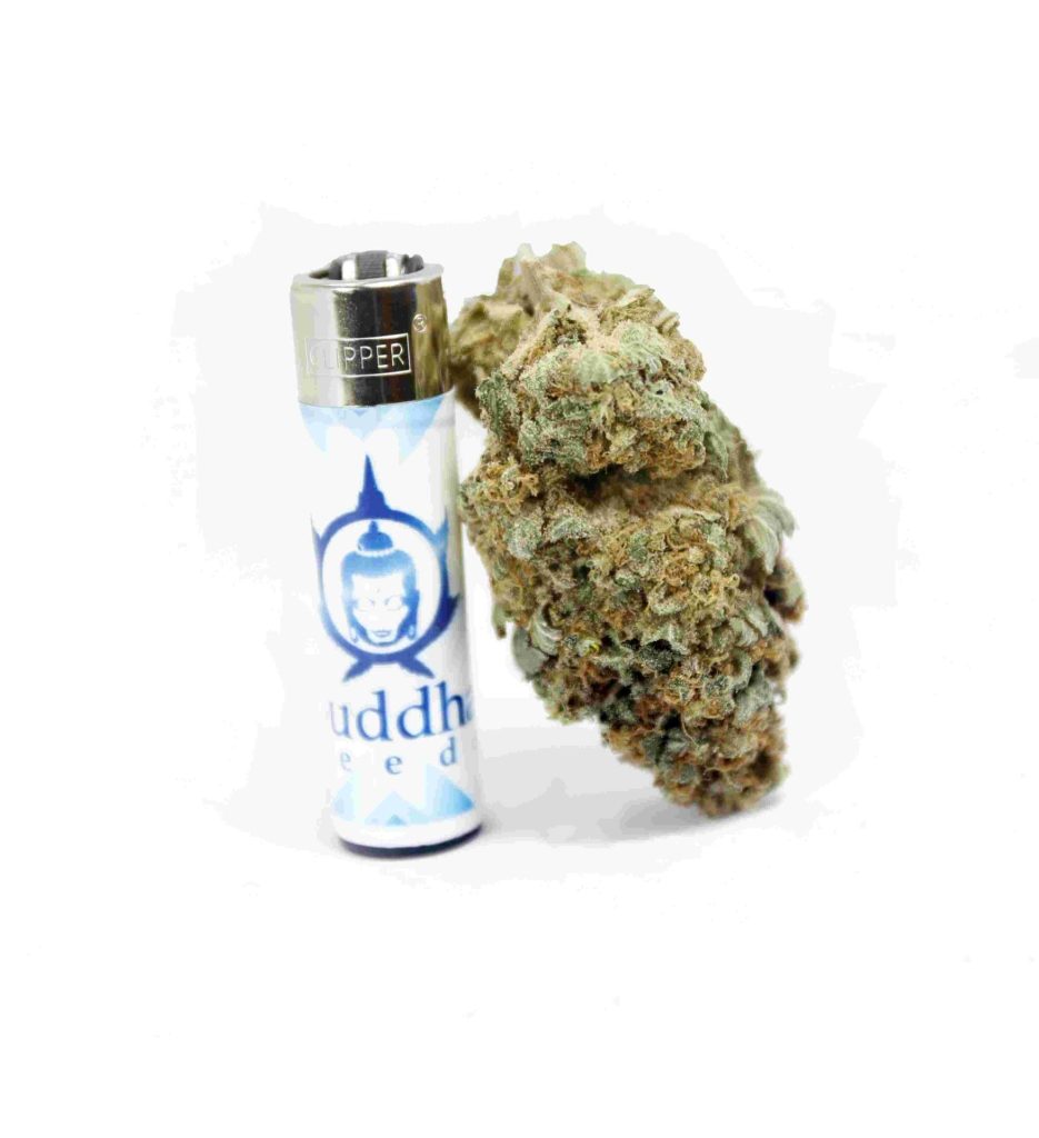 grinder marihuana