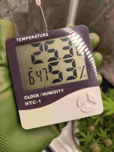 temperatura y humedad en indoor