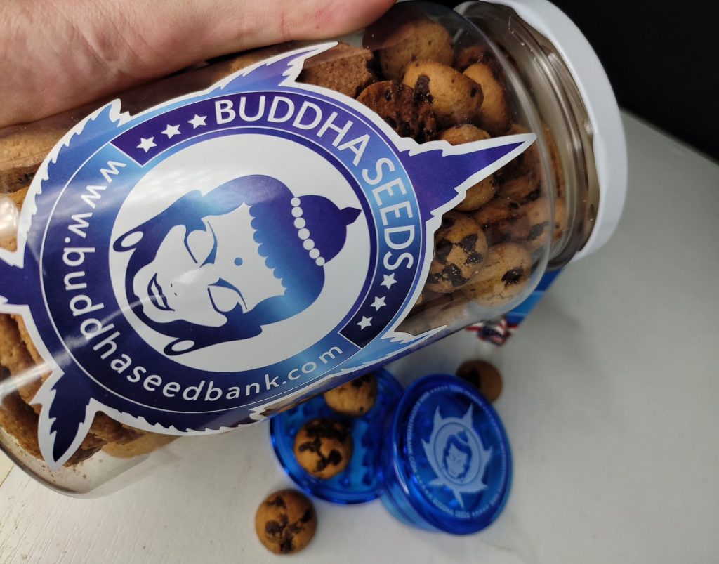 cannabis makes you hungry cannabis makes you hungry